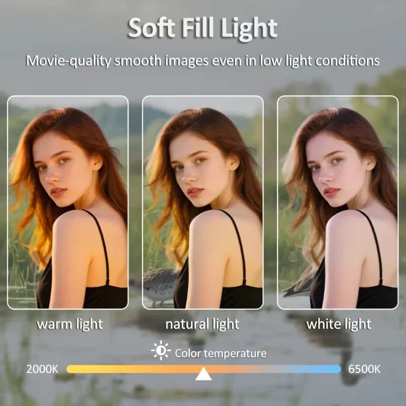 3-Axis Stabilizing Gimbal