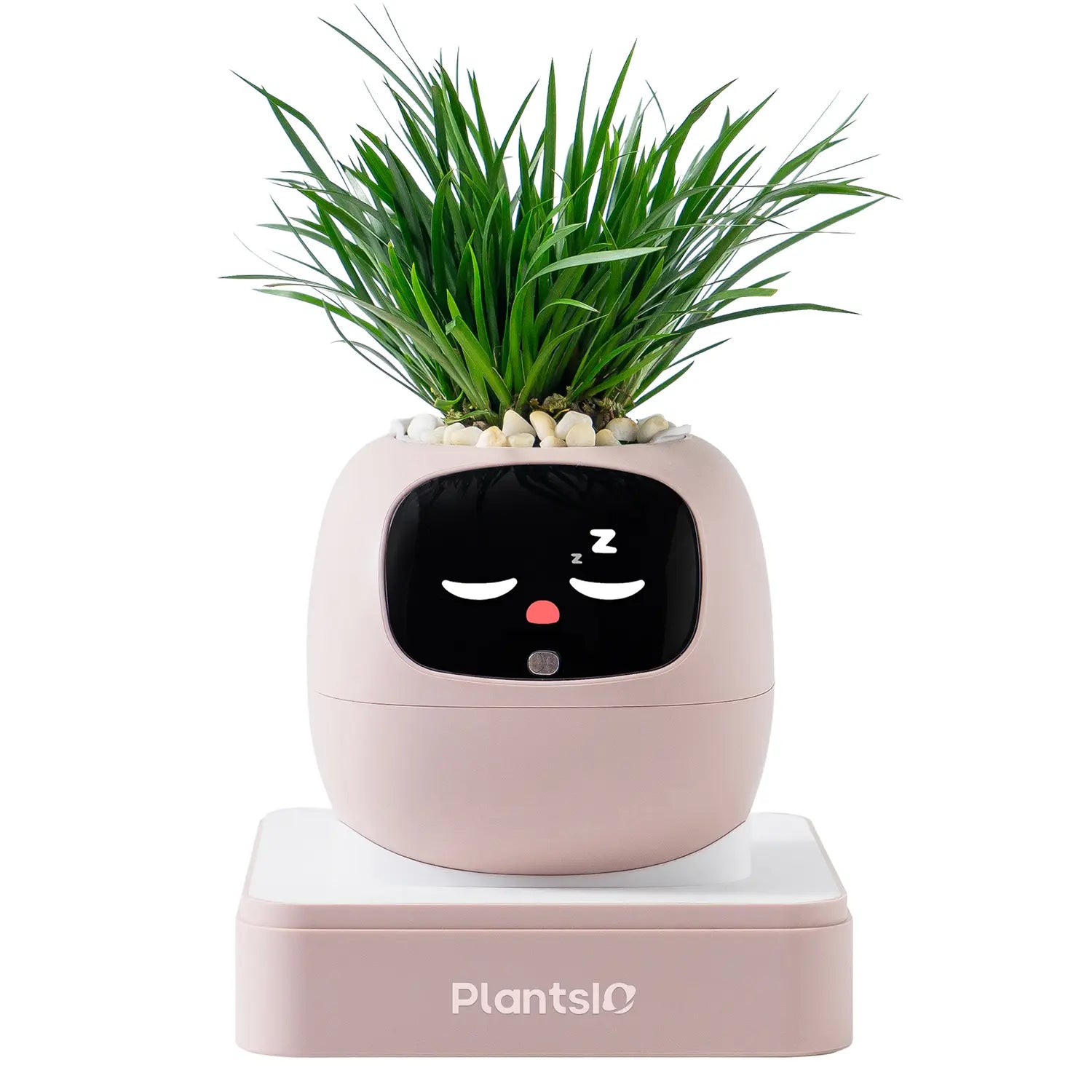 IVY Smart Indoor Plant Pot - Desktop Electronic Pet, Animated AI Flowerpot with Expression Interaction, Creative Science & Technology Toy for Plant Lovers, Indoor Plant Pots