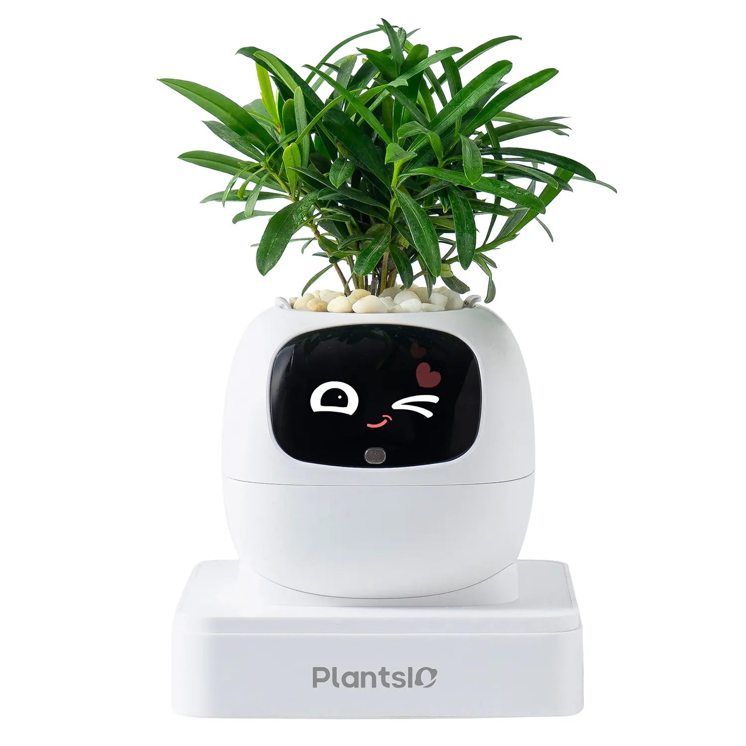 IVY Smart Indoor Plant Pot - Desktop Electronic Pet, Animated AI Flowerpot with Expression Interaction, Creative Science & Technology Toy for Plant Lovers, Indoor Plant Pots