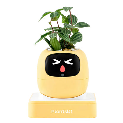 IVY Smart Indoor Plant Pot - Desktop Electronic Pet, Animated AI Flowerpot with Expression Interaction, Creative Science & Technology Toy for Plant Lovers, Indoor Plant Pots