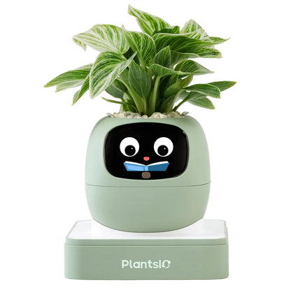 IVY Smart Indoor Plant Pot - Desktop Electronic Pet, Animated AI Flowerpot with Expression Interaction, Creative Science & Technology Toy for Plant Lovers, Indoor Plant Pots